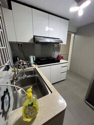 Parc Vista (D22), Condominium #539611471